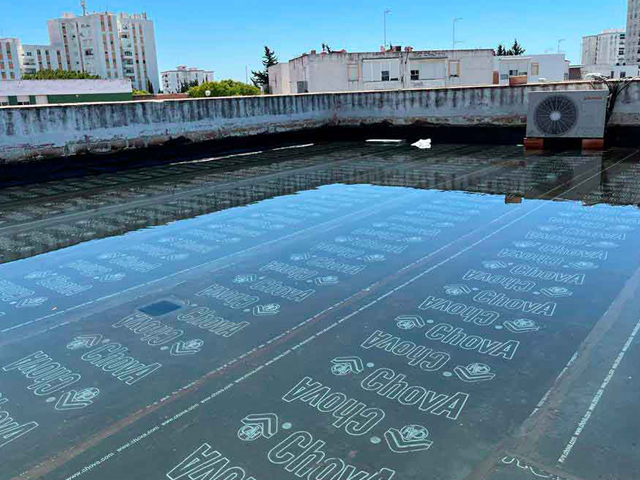 distribuidor chova cadiz cuberfas